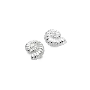 Ammonite Studs