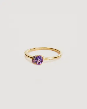 By Charlotte 18k Gold Vermeil Kindred Birthstone Ring - February/Amethyst