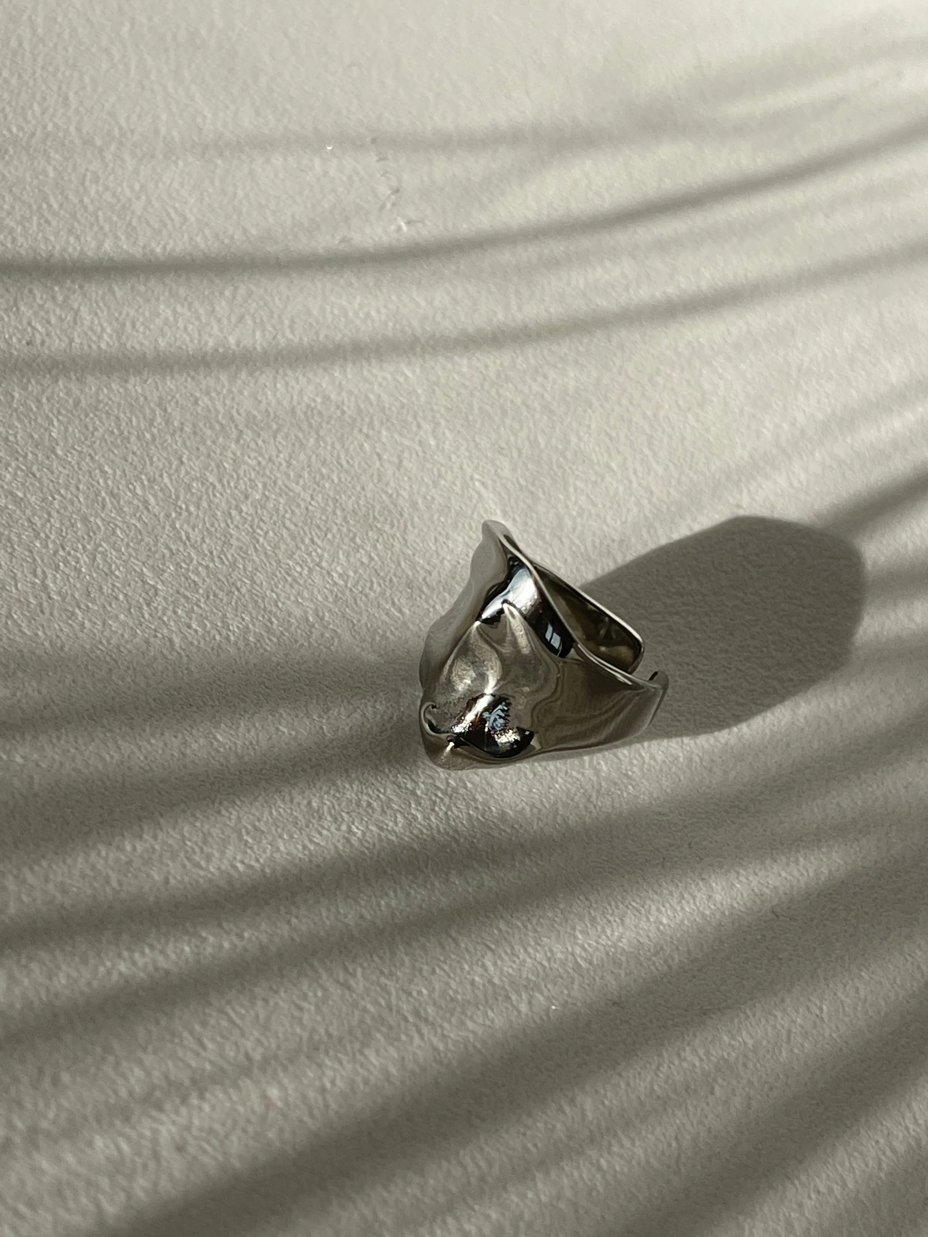 Colin Organic Stainless Steel Ring In Silver