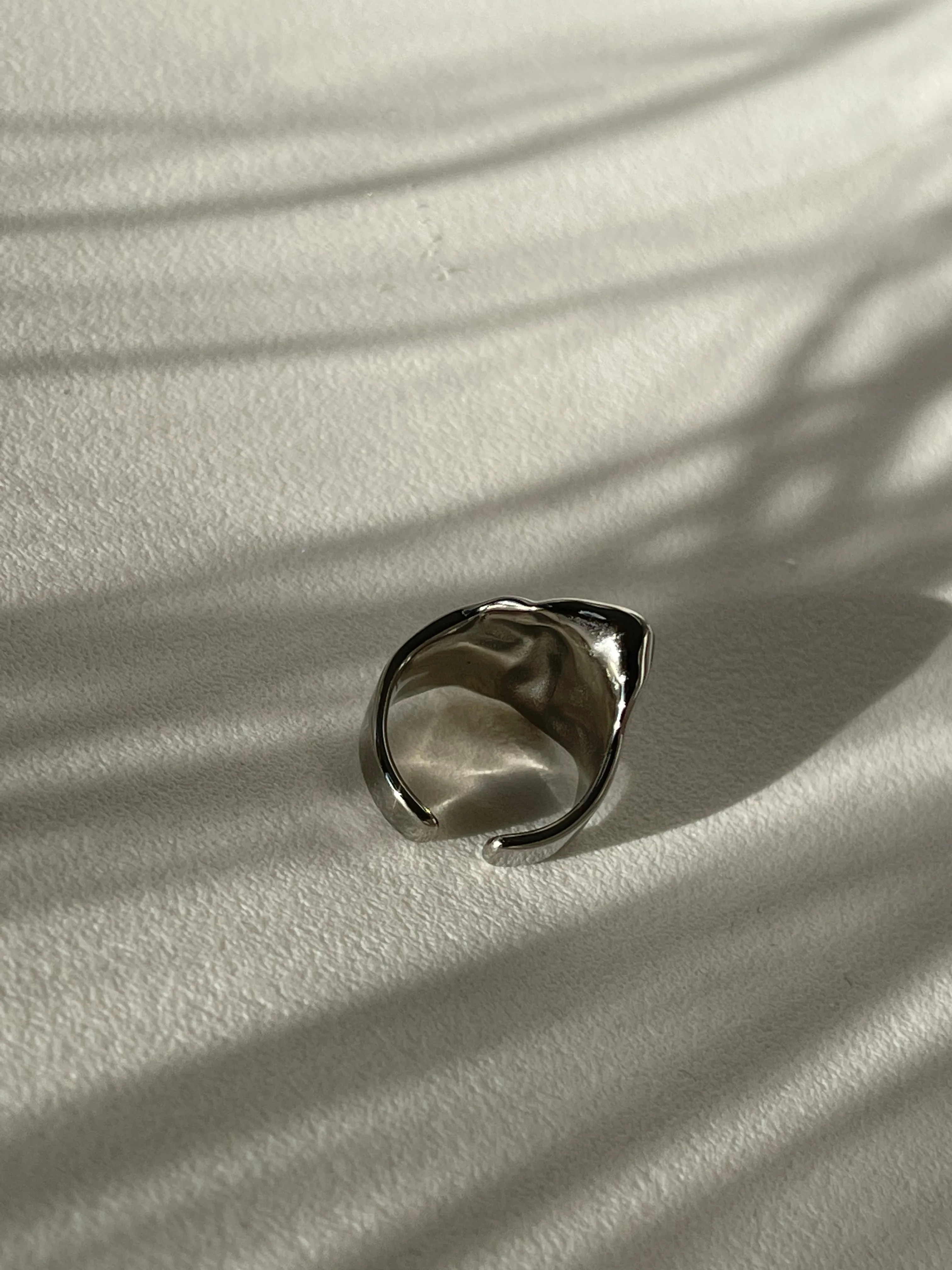 Colin Organic Stainless Steel Ring In Silver