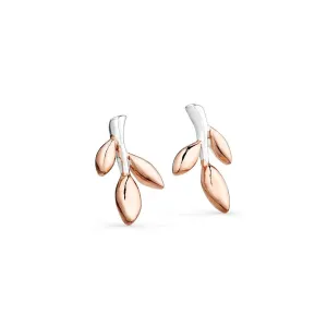 Cornish Garden Studs