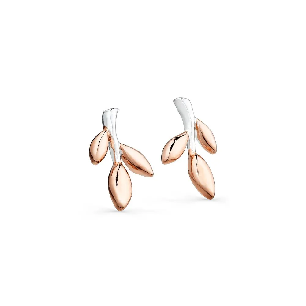 Cornish Garden Studs