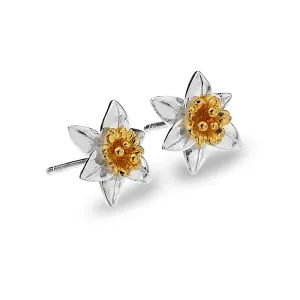 Daffodil Studs
