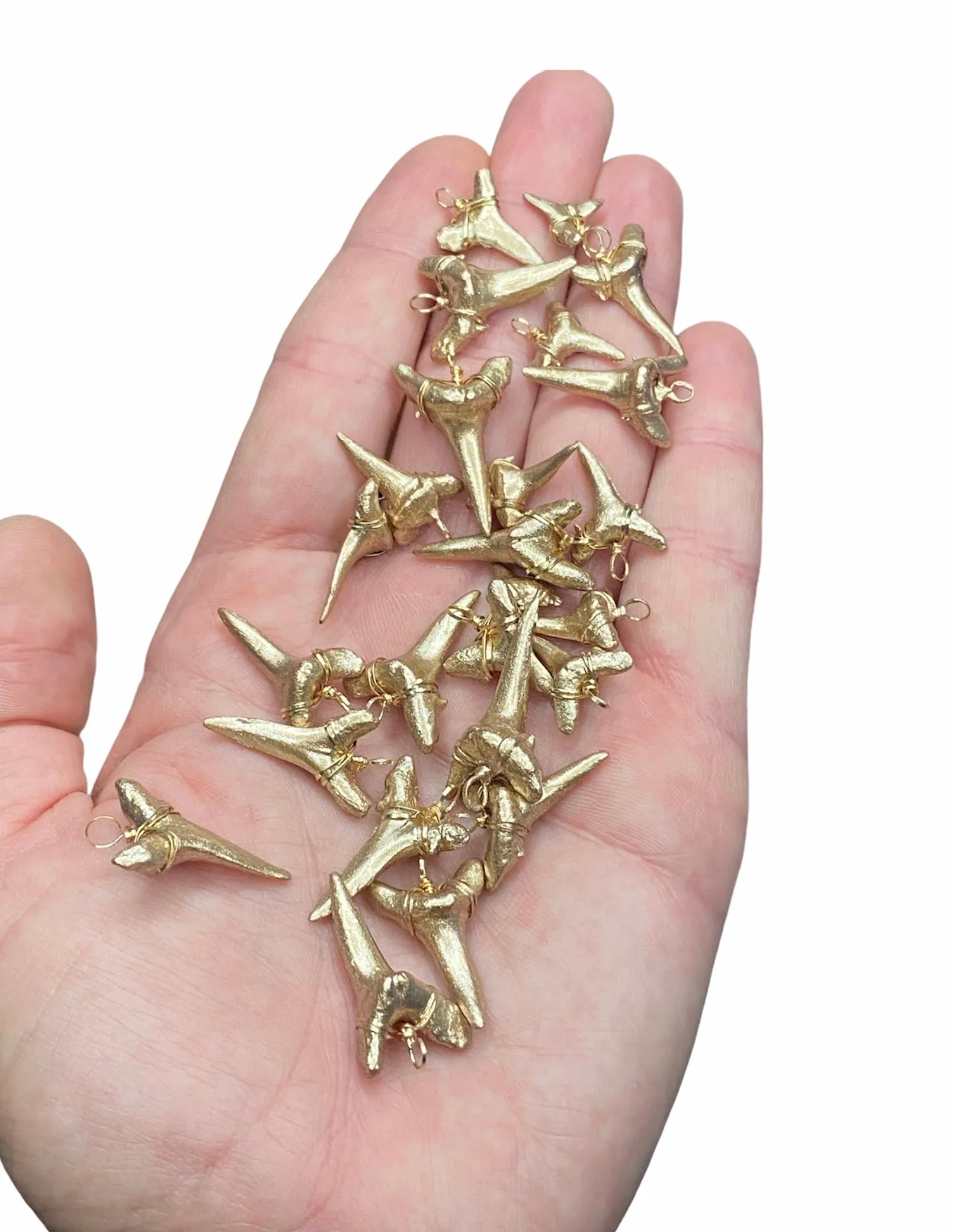 Fossil Sand Tiger Shark Tooth Pendant—Authentic Fossil