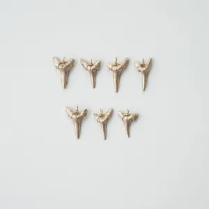 Fossil Sand Tiger Shark Tooth Pendant—Authentic Fossil