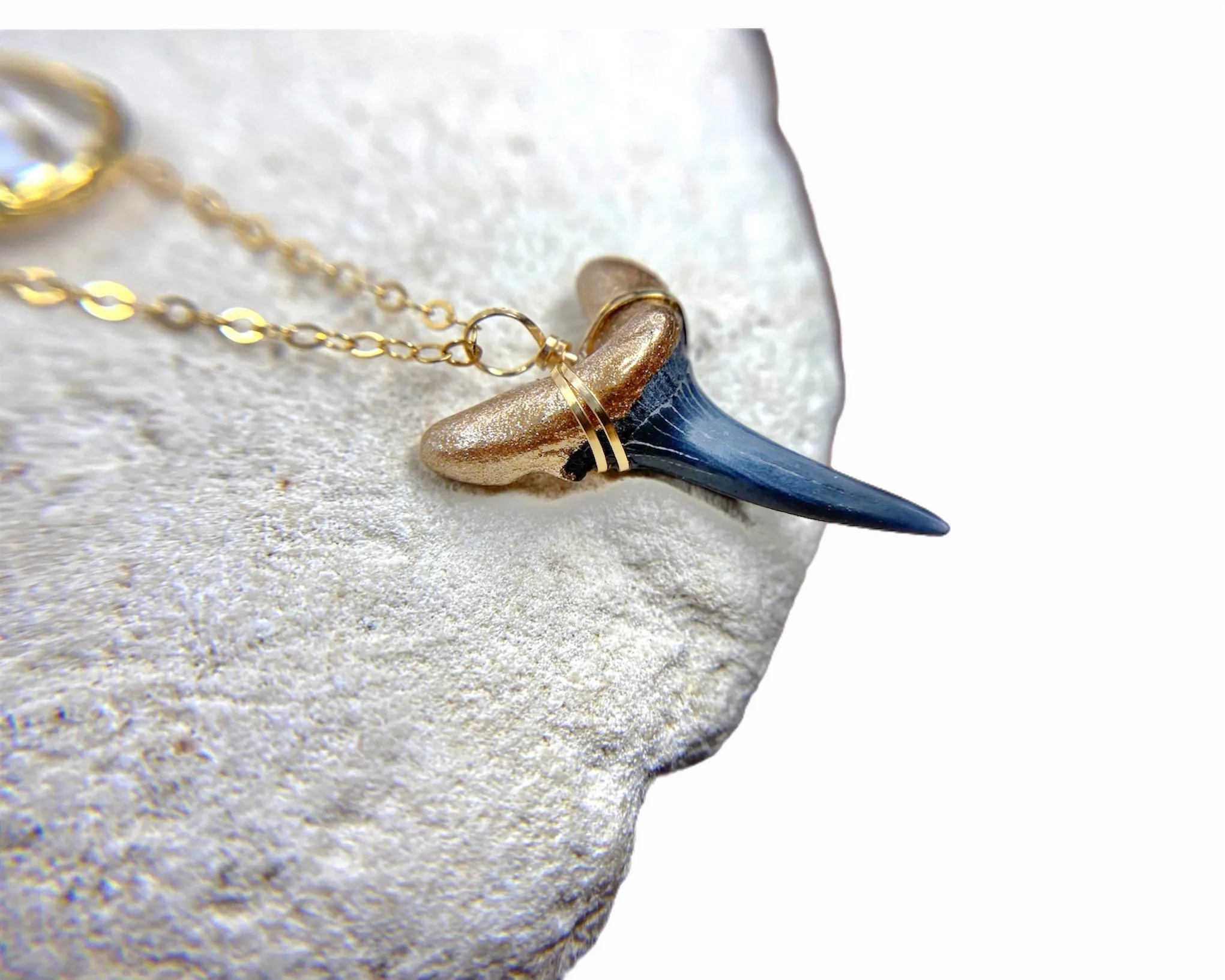 Fossil Sand Tiger Shark Tooth Pendant—Authentic Fossil