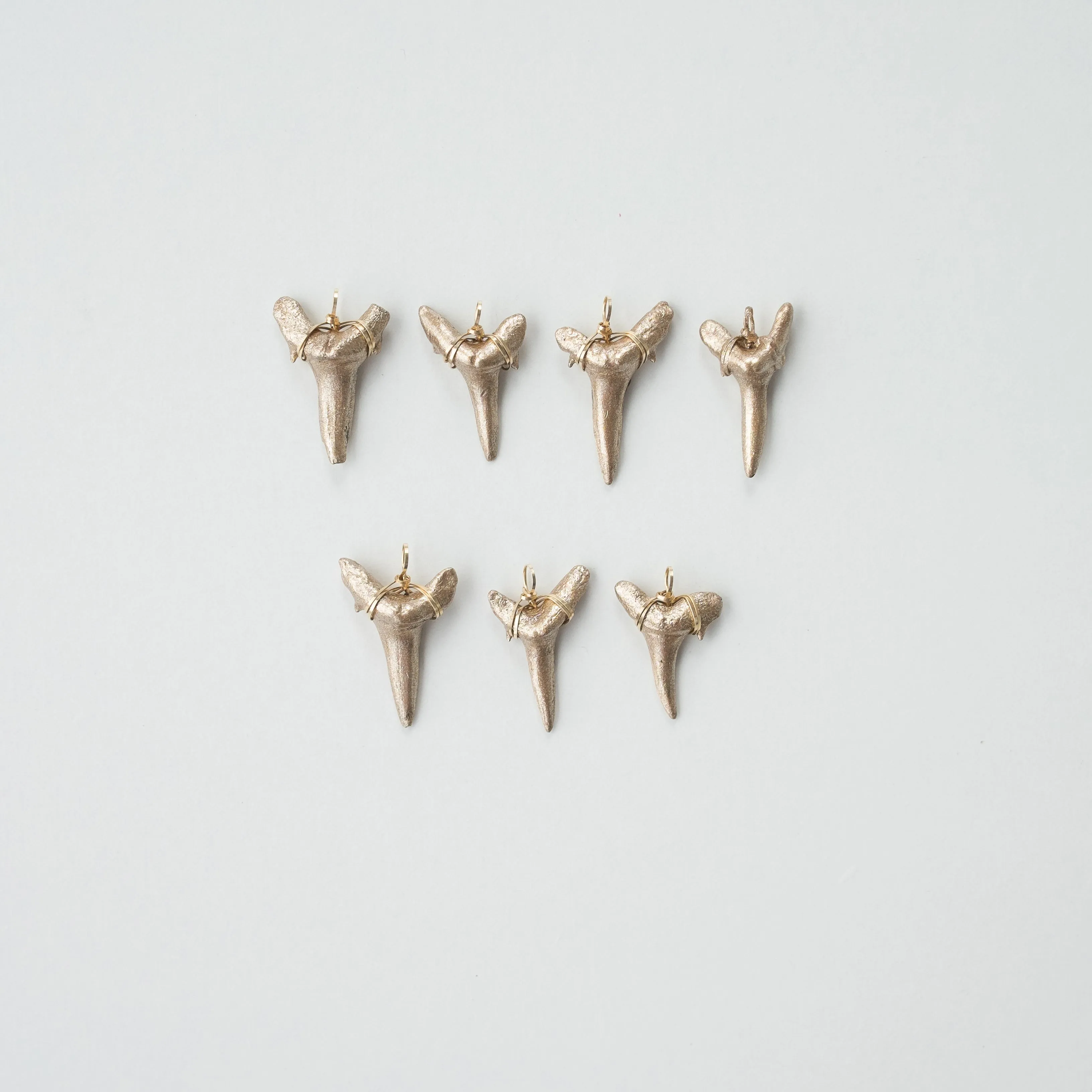 Fossil Sand Tiger Shark Tooth Pendant—Authentic Fossil