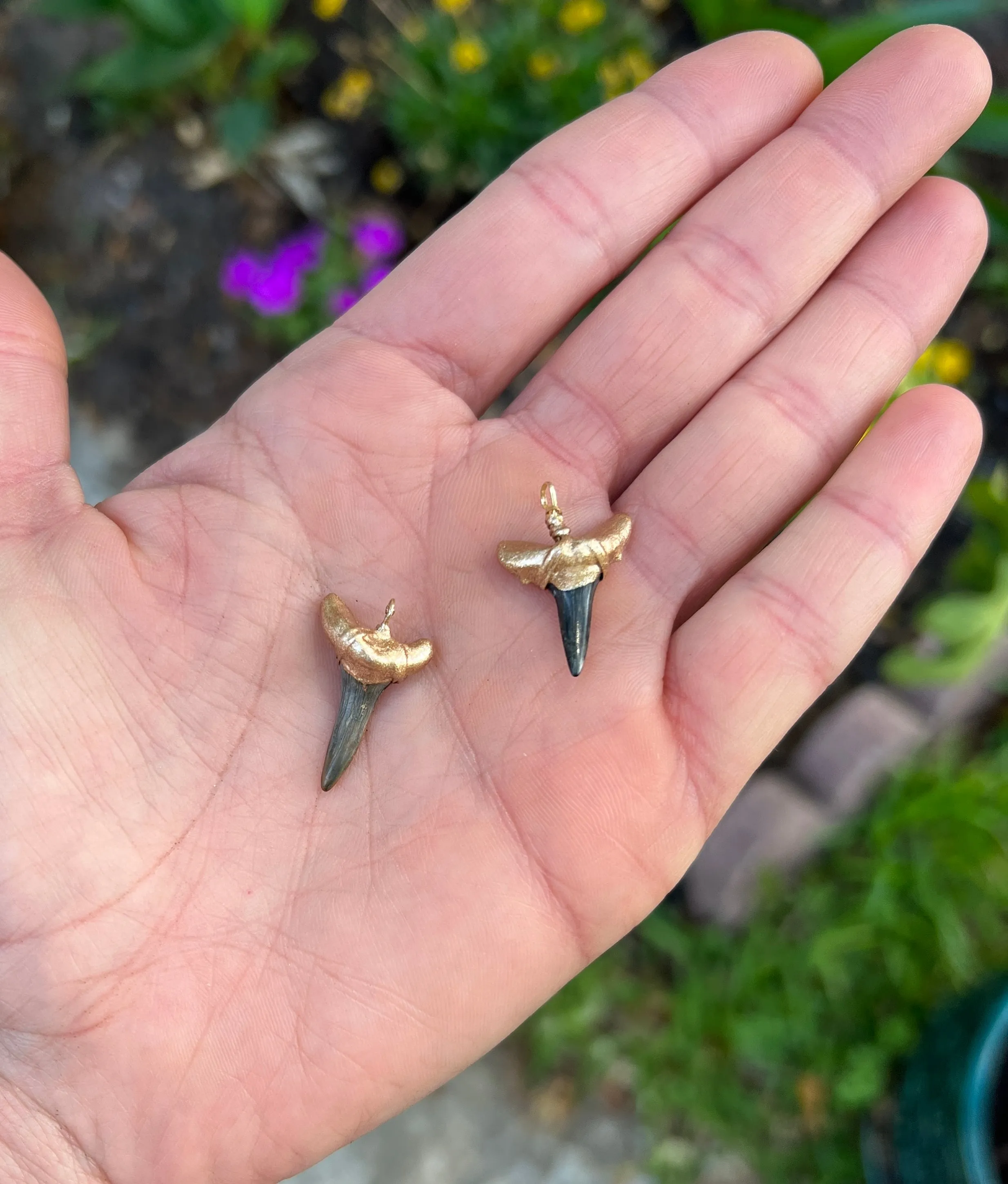 Fossil Sand Tiger Shark Tooth Pendant—Authentic Fossil