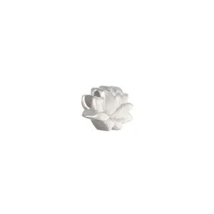 Lotus Charm