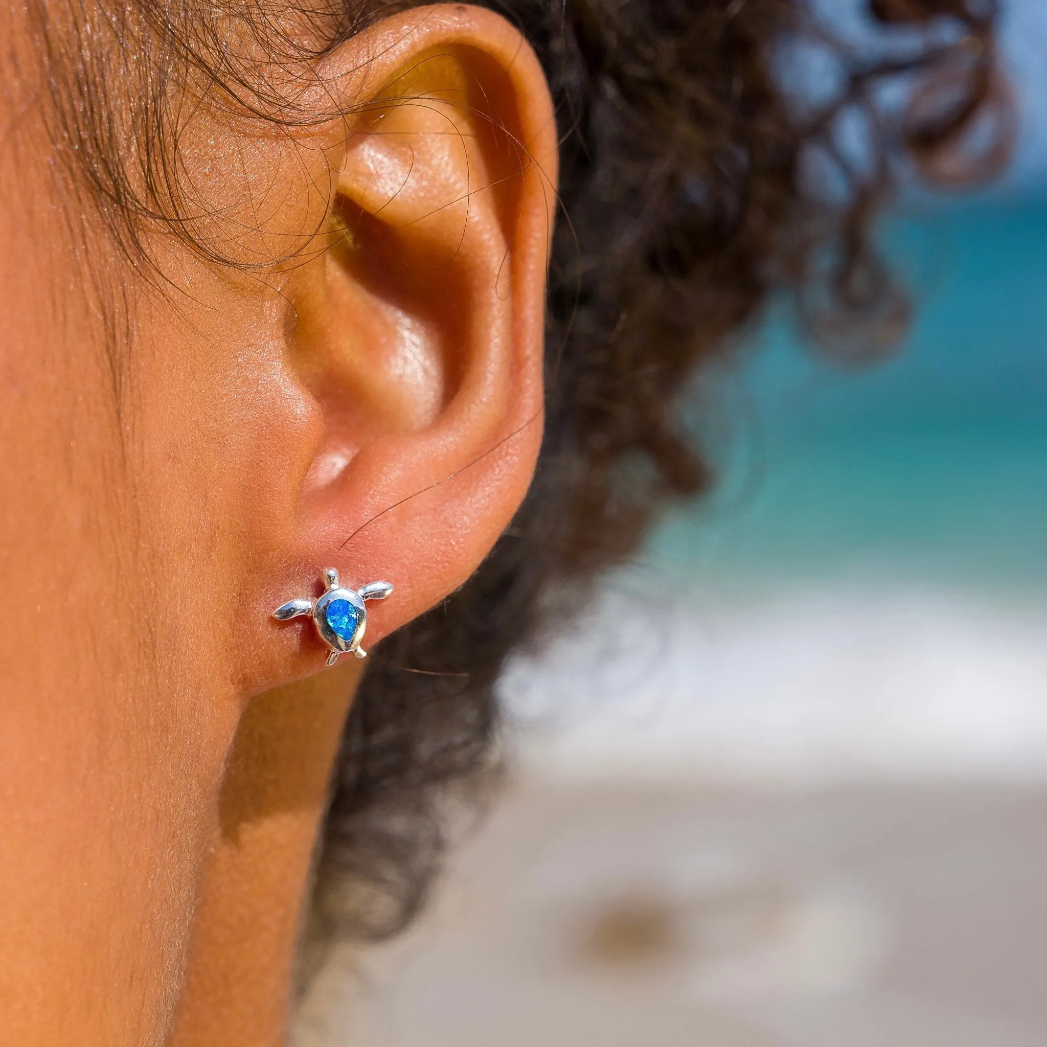 Ocean Blue Turtle Studs