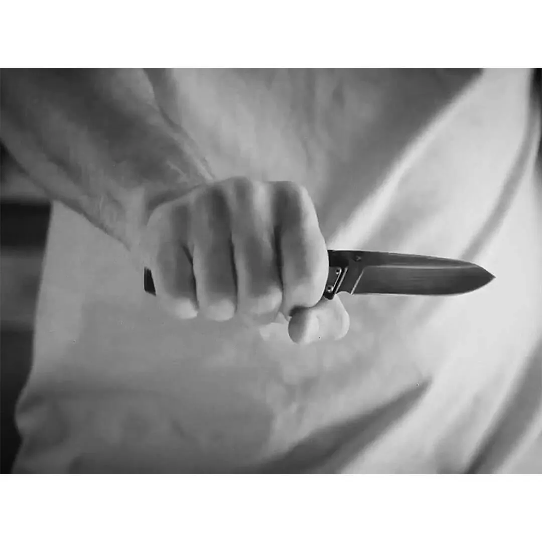 Paralite Rose FE DP Folding Clip Knife by Gerber