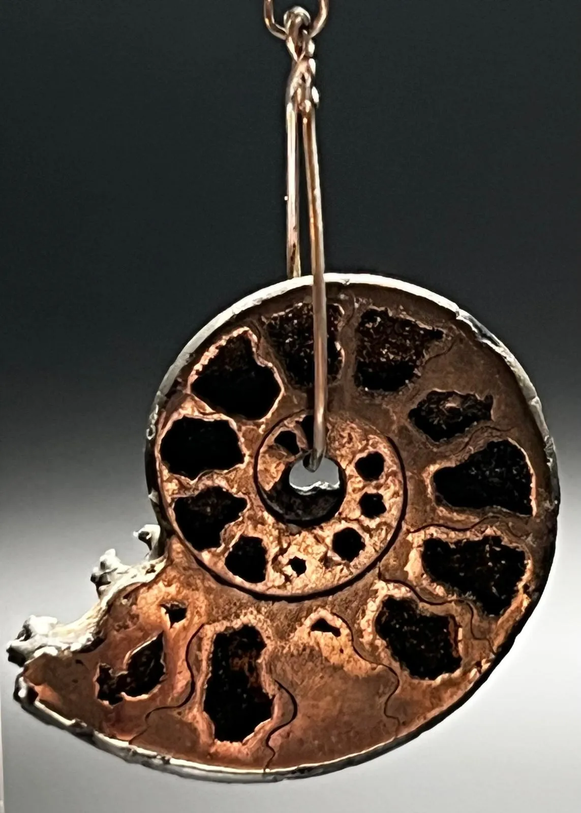 Pyritized Ammonite, Pyrite, and Sterling Silver Earrings
