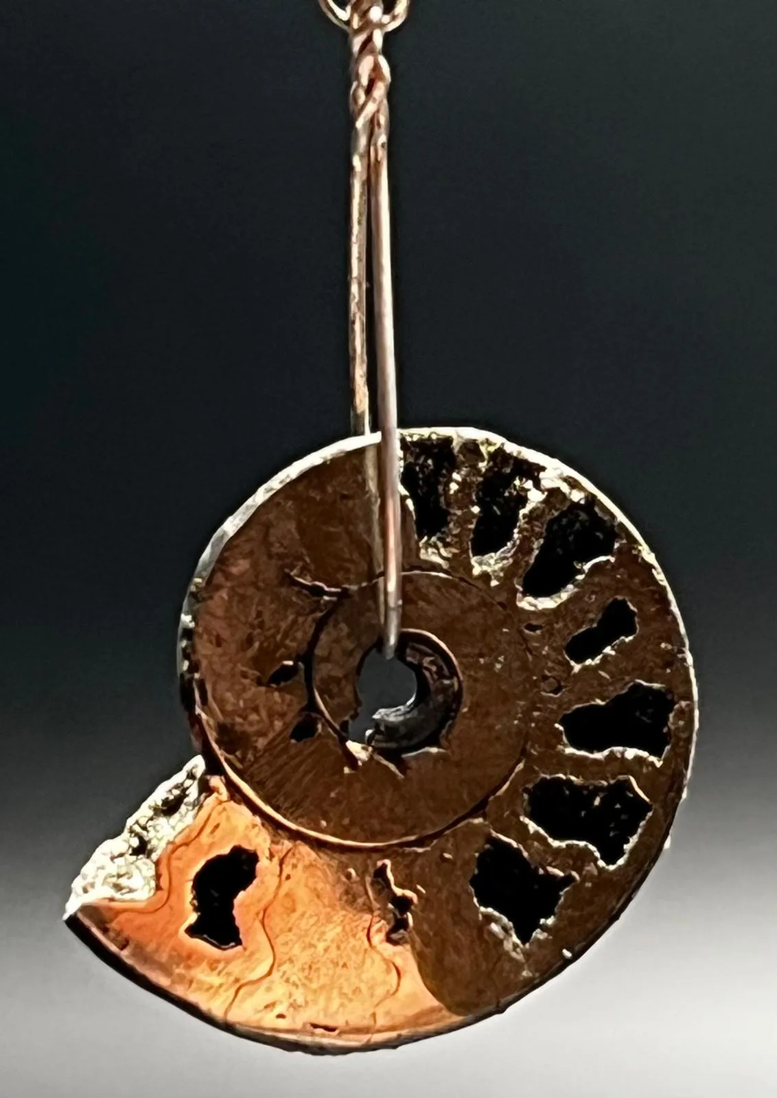 Pyritized Ammonite, Pyrite, and Sterling Silver Earrings