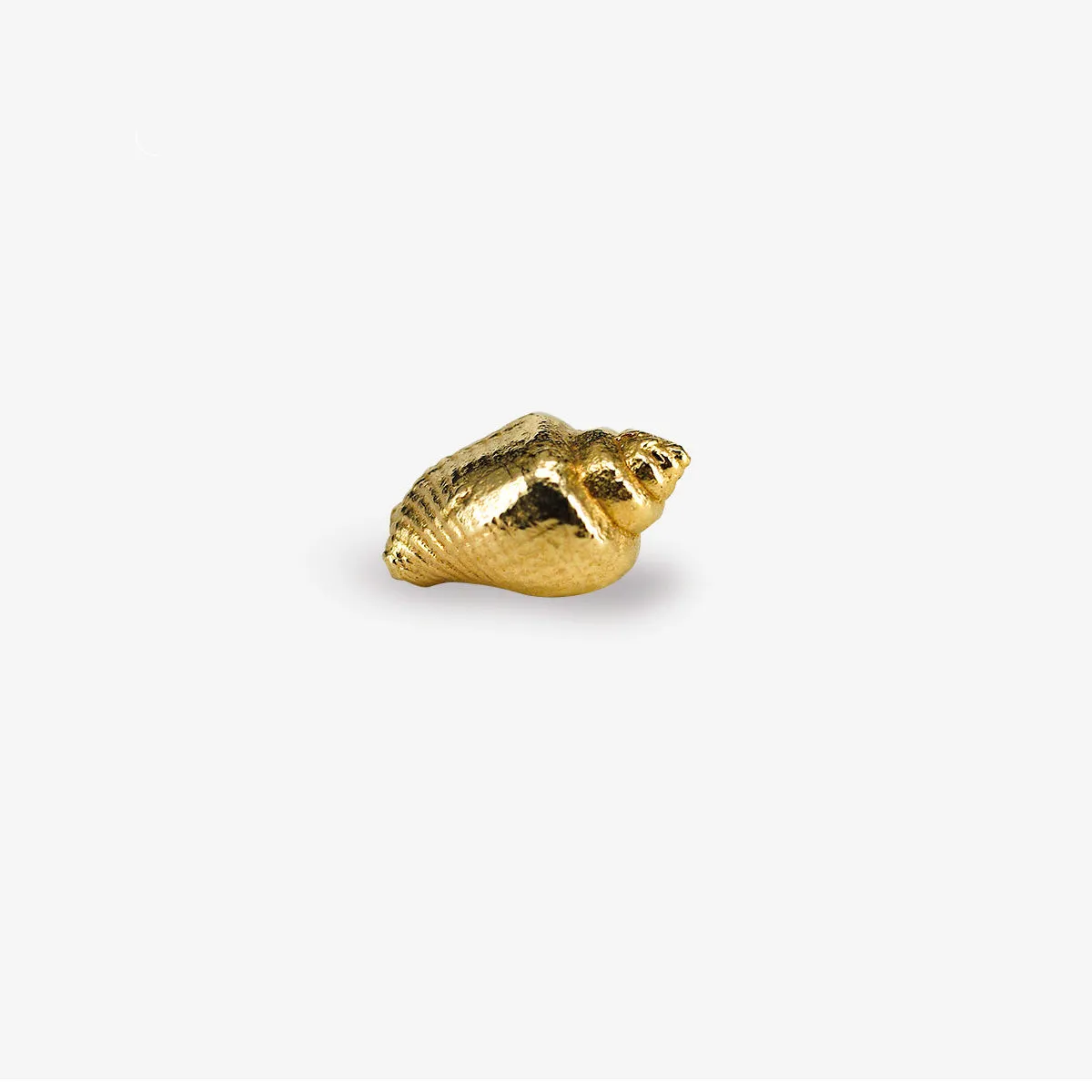 Shell-Shaped Stud Earrings