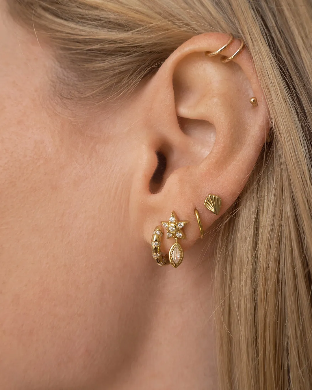 The Sea Shell Studs