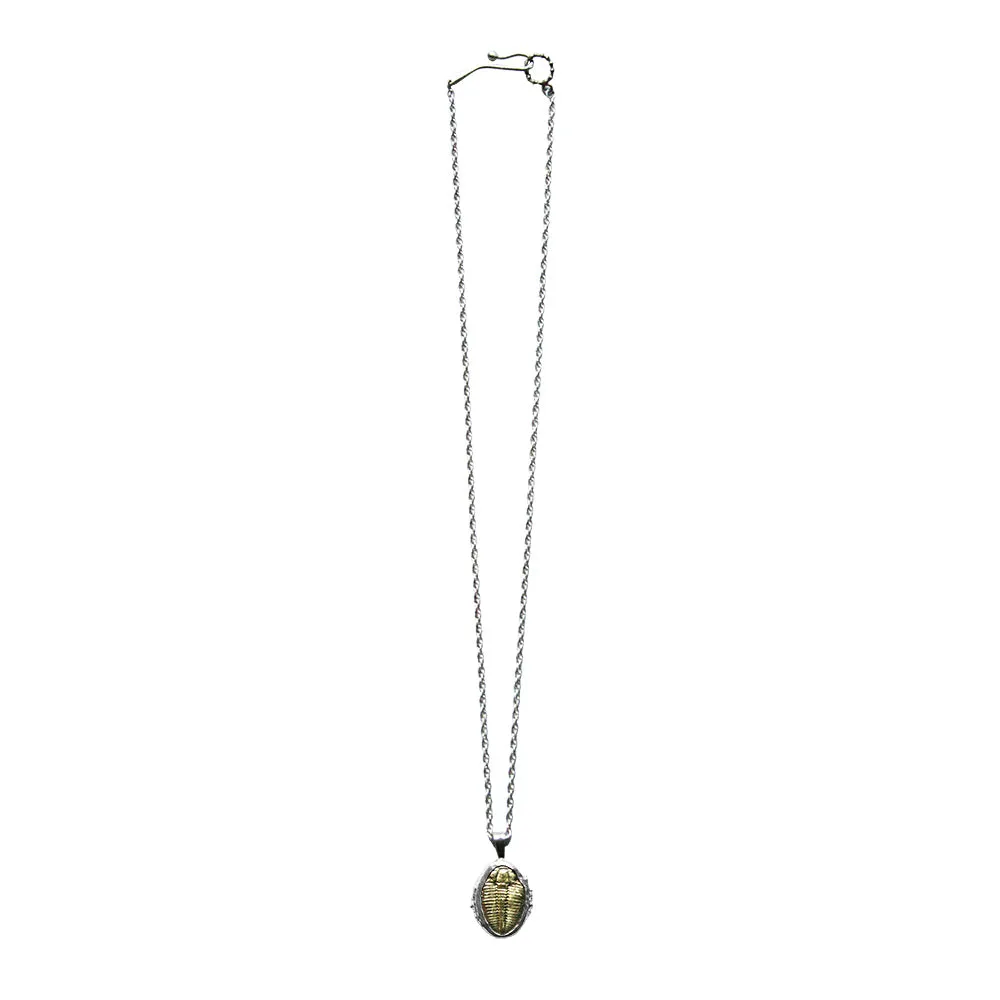 Trilobite Pendant Necklace